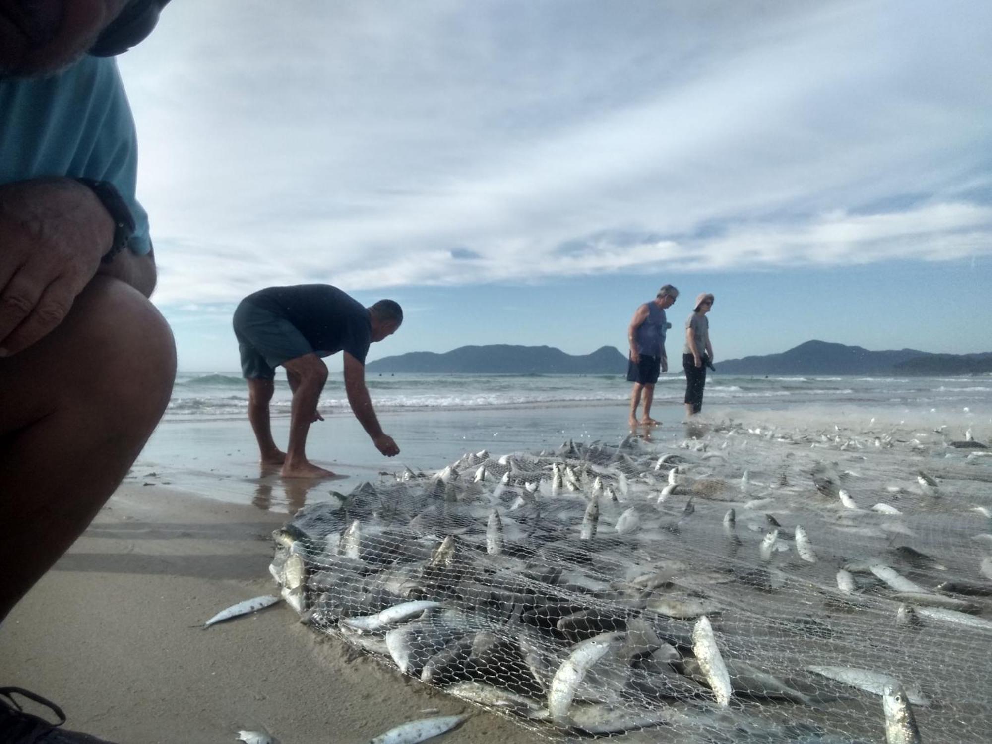 Charmoso E Moderno No Paraiso E Proximo Ao Aeroporto Florianopolis Ngoại thất bức ảnh
